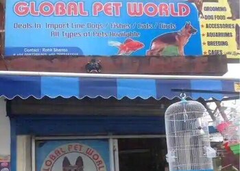 Global-Pet-World-Shopping-Pet-stores-Dehradun-Uttarakhand