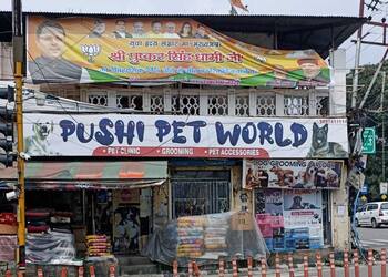 Pushi-Pet-World-Shopping-Pet-stores-Dehradun-Uttarakhand