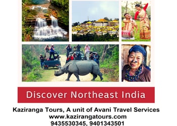 Avani-Travel-Services-Local-Businesses-Travel-agents-Dibrugarh-Assam