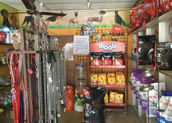 Balu-s-Pet-Shop-Shopping-Pet-stores-Erode-Tamil-Nadu-1