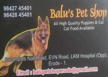 Balu-s-Pet-Shop-Shopping-Pet-stores-Erode-Tamil-Nadu