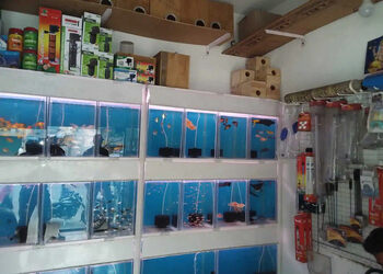 Sunrise-Pets-Shop-Shopping-Pet-stores-Erode-Tamil-Nadu-1