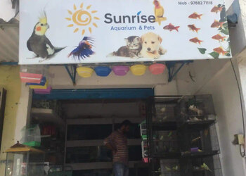 Sunrise-Pets-Shop-Shopping-Pet-stores-Erode-Tamil-Nadu