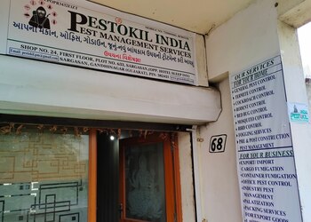 PESTOKIL-INDIA-Local-Services-Pest-control-services-Gandhinagar-Gujarat