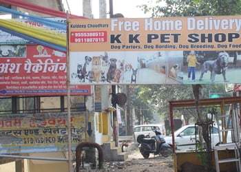 KK-PET-SHOP-Shopping-Pet-stores-Ghaziabad-Uttar-Pradesh