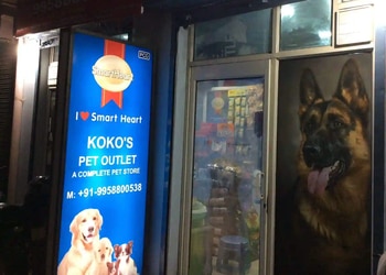 KoKo-s-Pet-Outlet-Dog-Boarding-Shopping-Pet-stores-Ghaziabad-Uttar-Pradesh