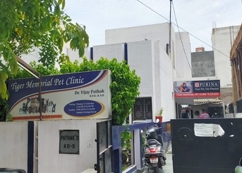 Tiger-Memorial-Pet-Clinic-Health-Veterinary-hospitals-Ghaziabad-Uttar-Pradesh