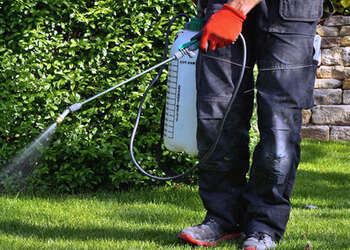 Pepcopp-Pest-Control-Services-Pvt-Ltd-Local-Services-Pest-control-services-Goa-Goa-2