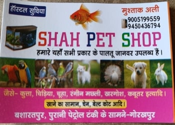 5 Best Pet stores in Gorakhpur, UP 