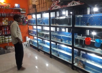 Sri-R-K-Enterprises-Shopping-Pet-stores-Gulbarga-Karnataka-2