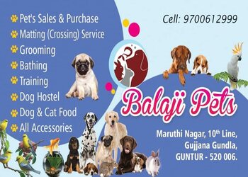 Balaji-Pet-s-Shopping-Pet-stores-Guntur-Andhra-Pradesh-1