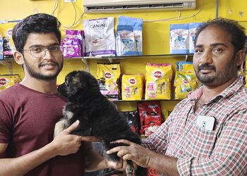 Balaji-Pet-s-Shopping-Pet-stores-Guntur-Andhra-Pradesh-2