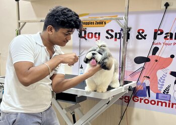 Doggies-Zone-and-Medicals-Shopping-Pet-stores-Guntur-Andhra-Pradesh-1