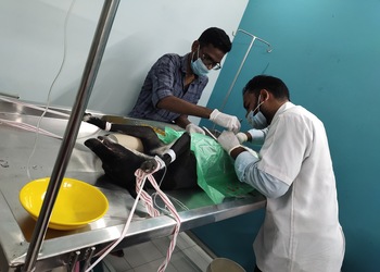 Happy-Tails-Pet-Clinic-Health-Veterinary-hospitals-Guntur-Andhra-Pradesh-1