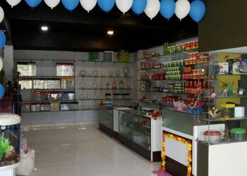 Pet-Paradise-Shopping-Pet-stores-Guntur-Andhra-Pradesh-1