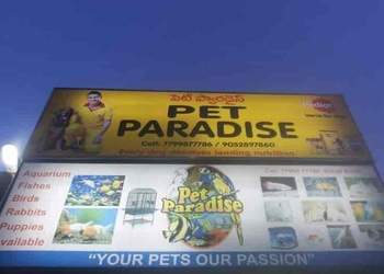 Pet-Paradise-Shopping-Pet-stores-Guntur-Andhra-Pradesh