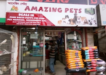 5 Best Pet stores in Guwahati, AS 