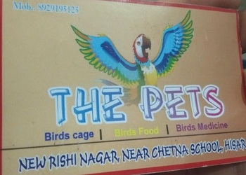 Mayank-Sharma-pet-s-shop-Shopping-Pet-stores-Hisar-Haryana