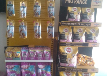 TOM-JERRY-PET-SHOP-Shopping-Pet-stores-Hisar-Haryana-1