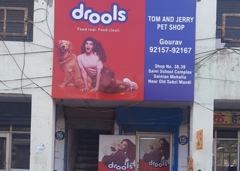 TOM-JERRY-PET-SHOP-Shopping-Pet-stores-Hisar-Haryana