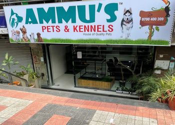 Ammu-s-Pets-Kennels-Shopping-Pet-stores-Hyderabad-Telangana