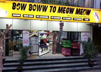 Bow-Boww-to-Meow-Meow-Shopping-Pet-stores-Hyderabad-Telangana