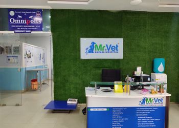 Mr-Vet-Animal-Hospital-Health-Veterinary-hospitals-Hyderabad-Telangana-1