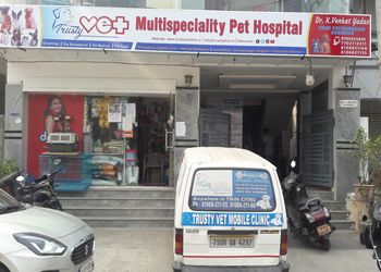 5 Best Veterinary hospitals in Hyderabad, TS 
