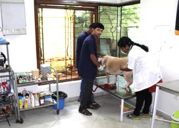 5 Best Veterinary hospitals in Hyderabad, TS 