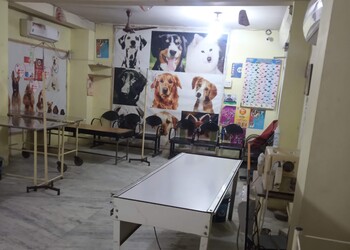 MY-Pet-Clinic-Grooming-Health-Veterinary-hospitals-Indore-Madhya-Pradesh-2