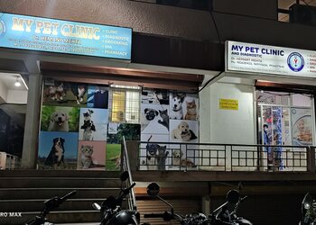 MY-Pet-Clinic-Grooming-Health-Veterinary-hospitals-Indore-Madhya-Pradesh