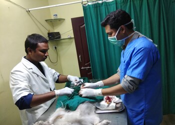 Pet-Matrix-Health-Veterinary-hospitals-Indore-Madhya-Pradesh-2