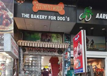222-The-Pet-World-Shopping-Pet-stores-Jabalpur-Madhya-Pradesh