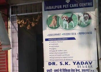 5 Best Veterinary hospitals in Jabalpur, MP 5 Best Veterinary hospitals in Jabalpur, MP