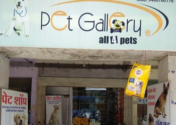 Pets-Gallery-Shopping-Pet-stores-Jabalpur-Madhya-Pradesh