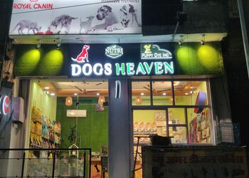 Dogs-Heaven-Shopping-Pet-stores-Jaipur-Rajasthan