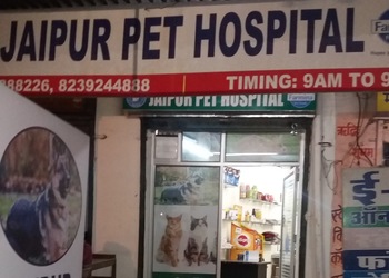 5 Best Veterinary hospitals in Jaipur, RJ 