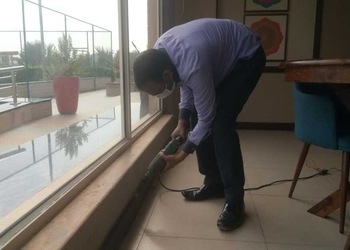 Pest-Control-Services-Local-Services-Pest-control-services-Jaipur-Rajasthan-2
