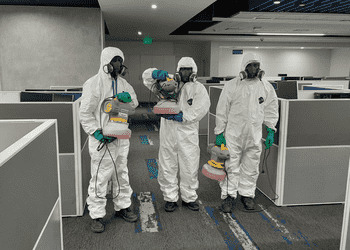 Rentokil-PC-Local-Services-Pest-control-services-Jammu-Jammu-and-Kashmir-1