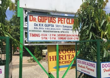 Dr-Gupta-s-Pet-Clinic-Health-Veterinary-hospitals-Jhansi-Uttar-Pradesh