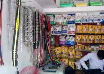 Dr-Tiwari-pet-clinic-Health-Veterinary-hospitals-Jodhpur-Rajasthan-2