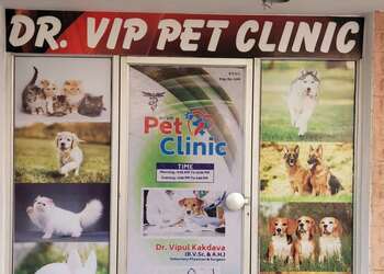 Dr-Vip-Pet-Clinic-Health-Veterinary-hospitals-Jodhpur-Rajasthan