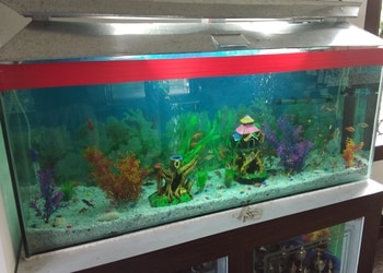 Aquazone-Pets-Shopping-Pet-stores-Jorhat-Assam-1