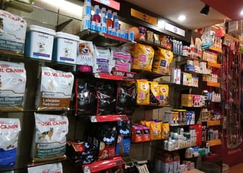 Aquazone-Pets-Shopping-Pet-stores-Jorhat-Assam-2