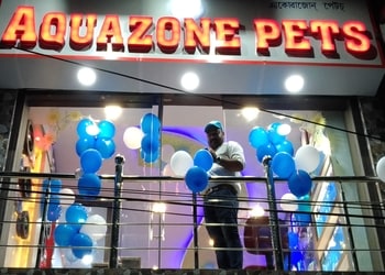 Aquazone-Pets-Shopping-Pet-stores-Jorhat-Assam