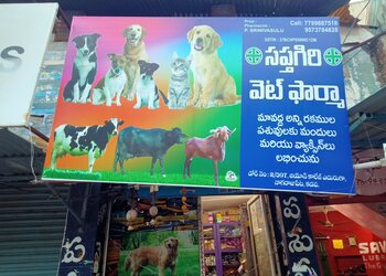 Sapthagiri-Vet-Pharma-Pet-Shop-Shopping-Pet-stores-Kadapa-Andhra-Pradesh