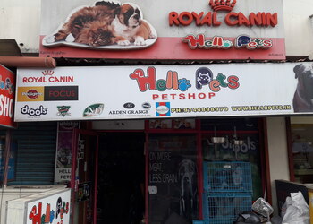 Hello-Pets-Shopping-Pet-stores-Kochi-Kerala