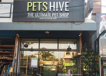 Pets-Hive-Shopping-Pet-stores-Kochi-Kerala