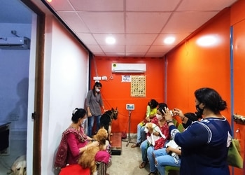 Nirmal-Lifeline-Veterinary-Clinic-Health-Veterinary-hospitals-Kolkata-West-Bengal-2
