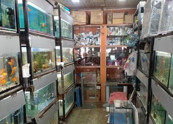 Animal-s-Planet-Shopping-Pet-stores-Korba-Chhattisgarh-1
